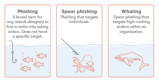 Phishing, Spear-phishing and Whale-phishing